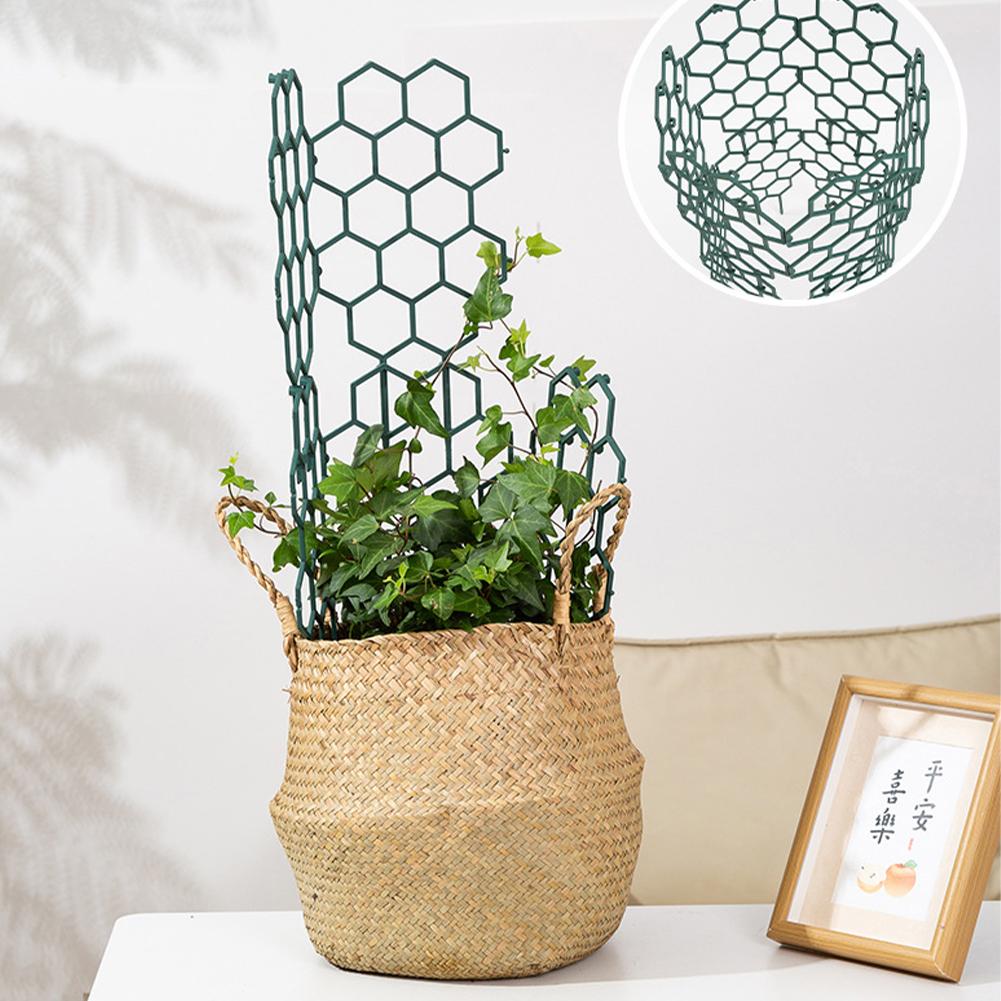 โครงพลาสติกสำหรับพยุงต้นไม้ 1/ - Plant Parent Tools บทวิจารณ์และราคา