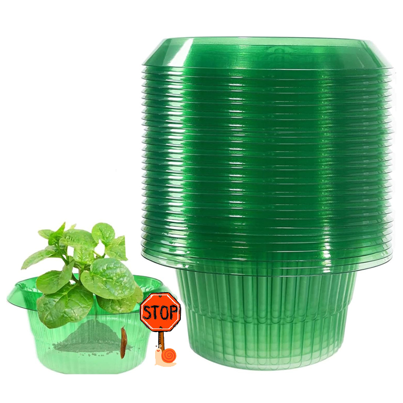 5-25 PCS พืช Slug ป้องกันแหวนส - Plant Parent Tools บทวิจารณ์และราคา