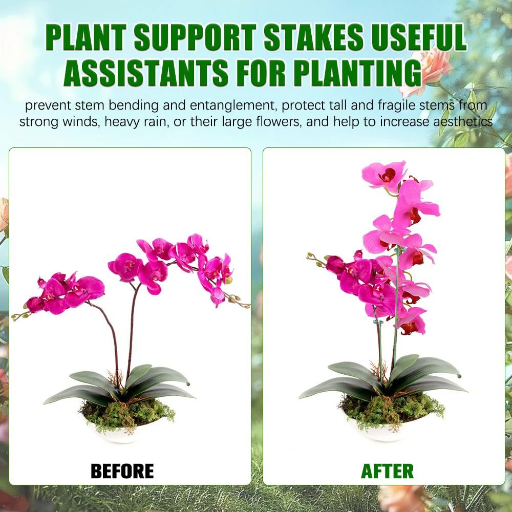 ขาตั้งพยุงต้นไม้ 5/10 ชิ้น สำห - Plant Parent Tools บทวิจารณ์และราคา