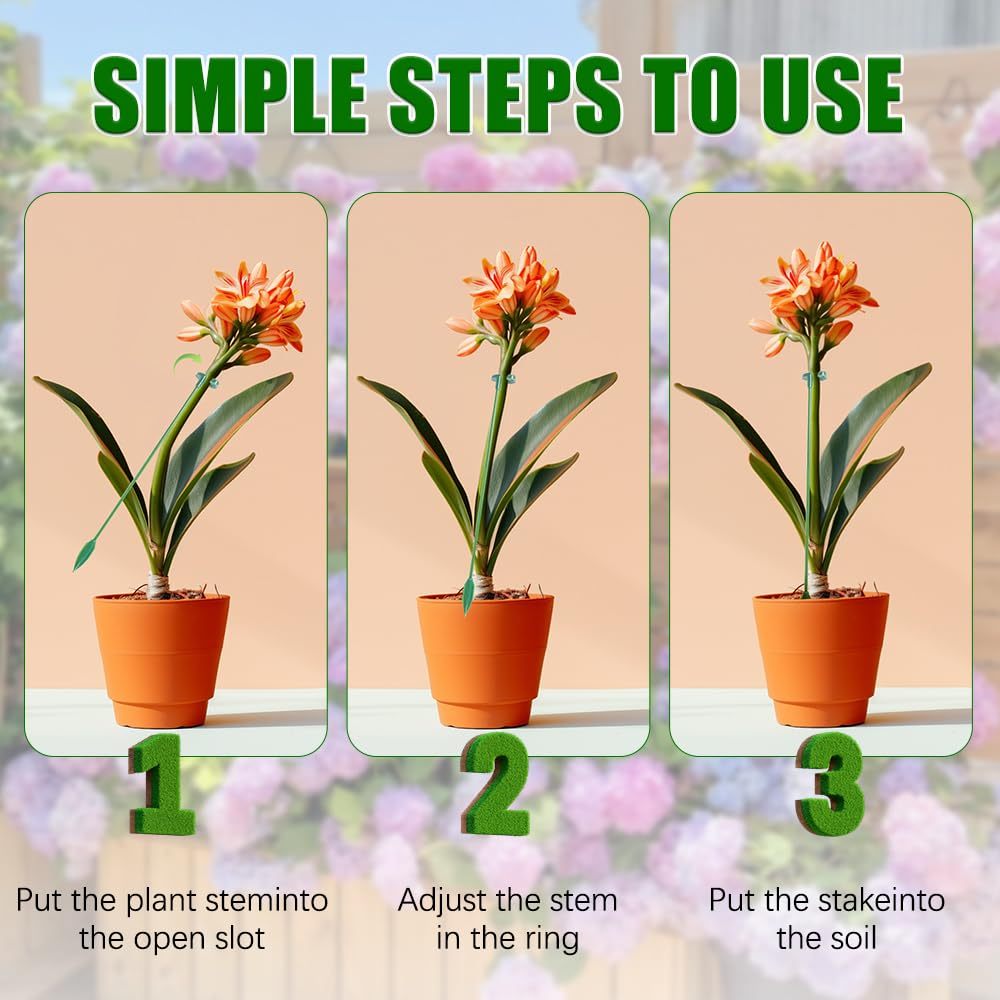 ขาตั้งพยุงต้นไม้ 5/10 ชิ้น สำห - Plant Parent Tools บทวิจารณ์และราคา