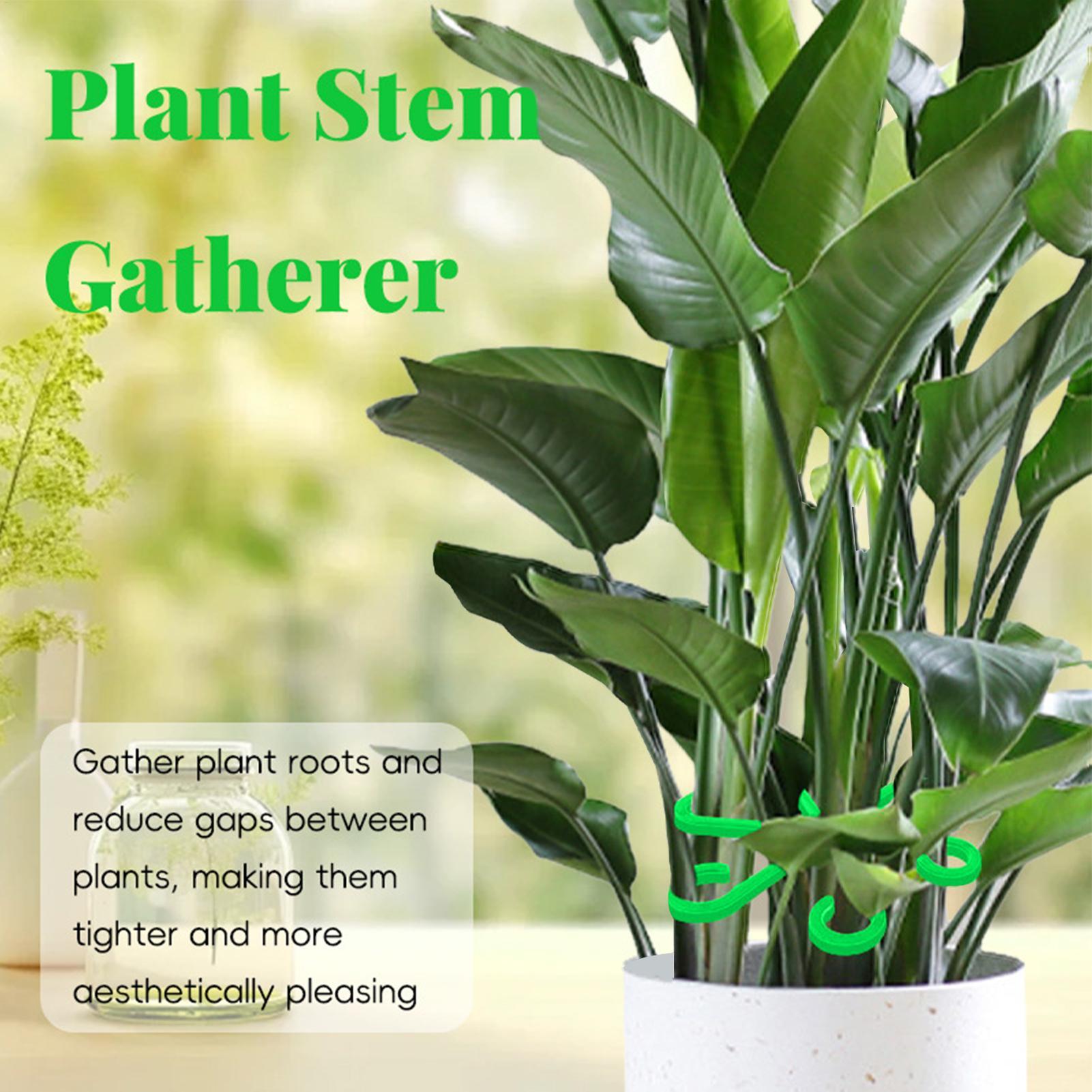 คลิปหนีบยึดต้นไม้ 4 ชิ้น โครงพ - Plant Parent Tools บทวิจารณ์และราคา