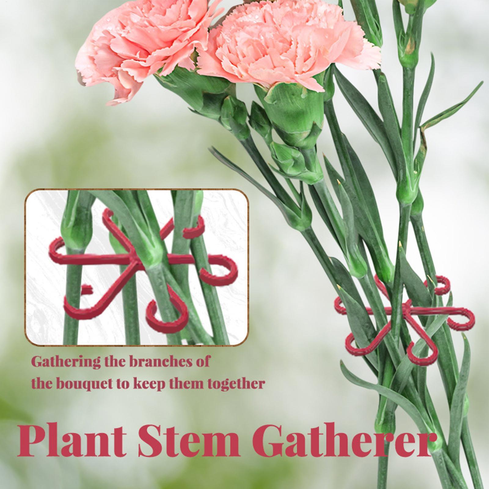 คลิปหนีบยึดต้นไม้ 4 ชิ้น โครงพ - Plant Parent Tools บทวิจารณ์และราคา