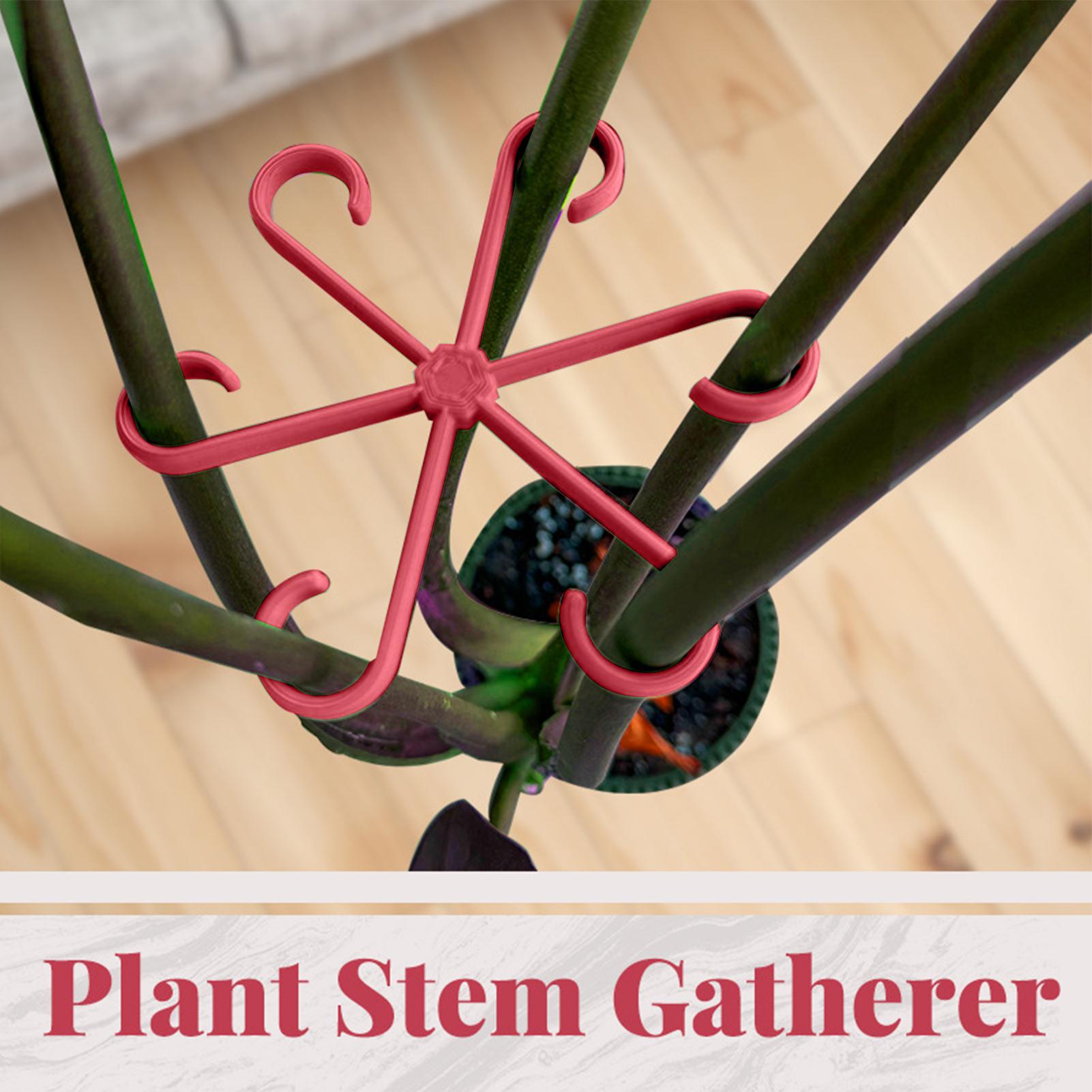 คลิปหนีบยึดต้นไม้ 4 ชิ้น โครงพ - Plant Parent Tools บทวิจารณ์และราคา