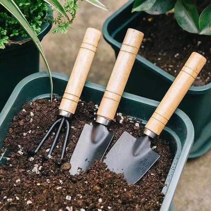ชุดเครื่องมือทำสวนขนาดเล็ก 3 ช - Plant Parent Tools บทวิจารณ์และราคา