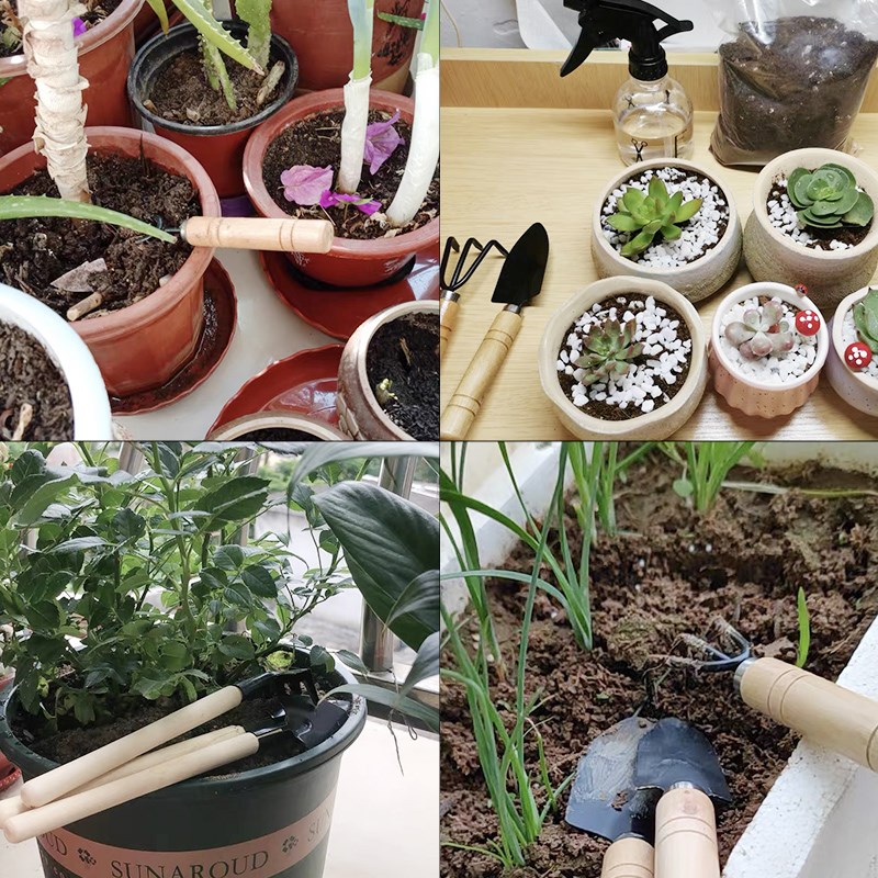 ชุดเครื่องมือทำสวนขนาดเล็ก 3 ช - Plant Parent Tools บทวิจารณ์และราคา
