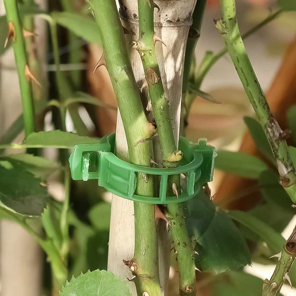 100/10 ชิ้น คลิปยึดต้นไม้ ตัวล - Plant Parent Tools บทวิจารณ์และราคา