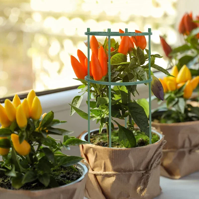 เสาค้ำต้นไม้พลาสติก สำหรับดอกไ - Plant Parent Tools บทวิจารณ์และราคา