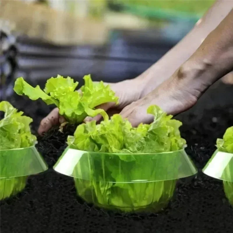 พืช Slug ป้องกันแหวนผักฝาครอบพ - Plant Parent Tools บทวิจารณ์และราคา