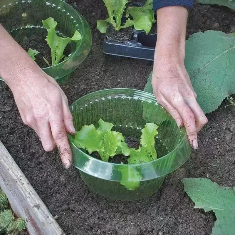 พืช Slug ป้องกันแหวนผักฝาครอบพ - Plant Parent Tools บทวิจารณ์และราคา