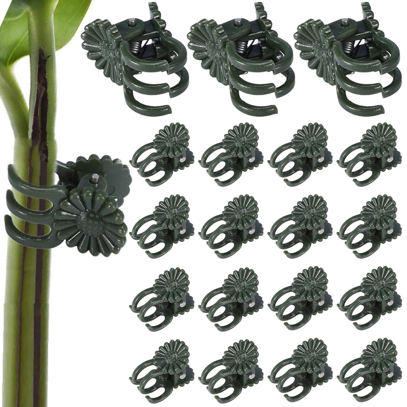 คลิปหนีบต้นไม้20/50/100ชิ้นคลิ - Plant Parent Tools บทวิจารณ์และราคา