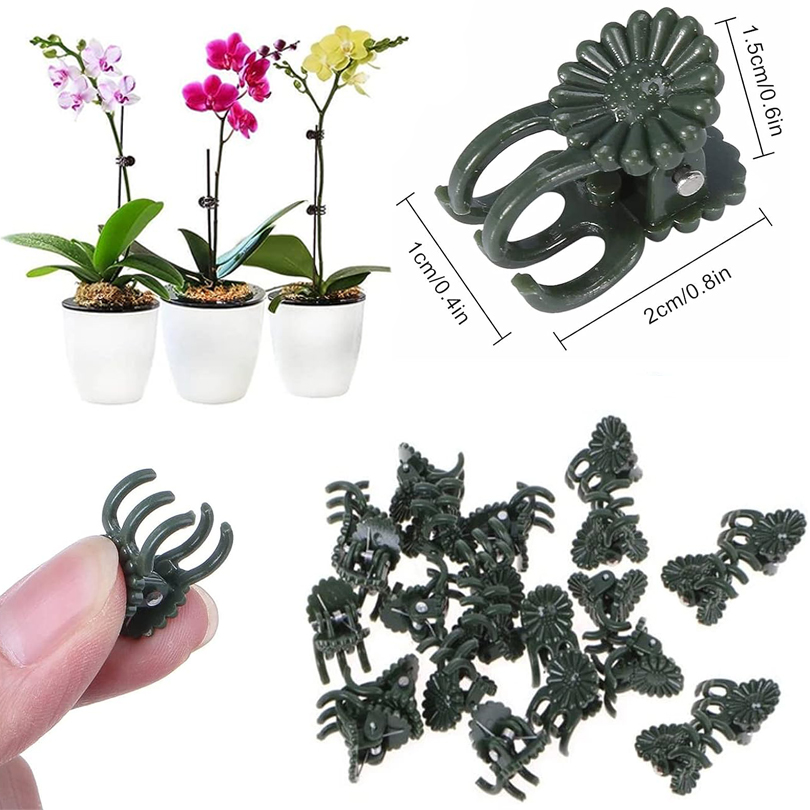 คลิปหนีบต้นไม้20/50/100ชิ้นคลิ - Plant Parent Tools บทวิจารณ์และราคา