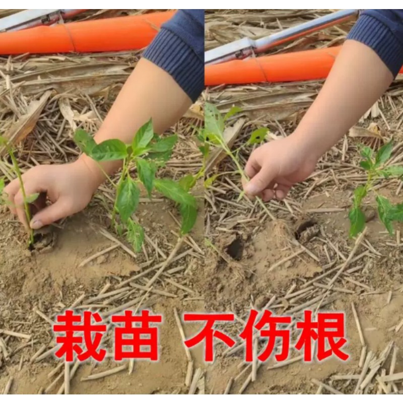 เครื่องปลูกต้นกล้าทางการเกษตร  - Plant Parent Tools บทวิจารณ์และราคา