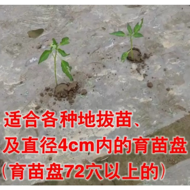 เครื่องปลูกต้นกล้าทางการเกษตร  - Plant Parent Tools บทวิจารณ์และราคา
